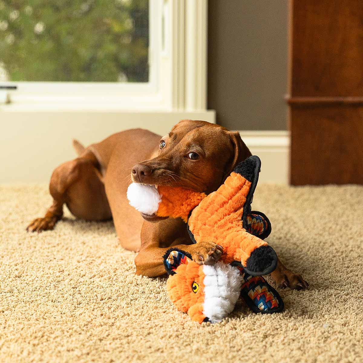 ROCT Sly Fox Lined Dog Toy Lifestyle Image