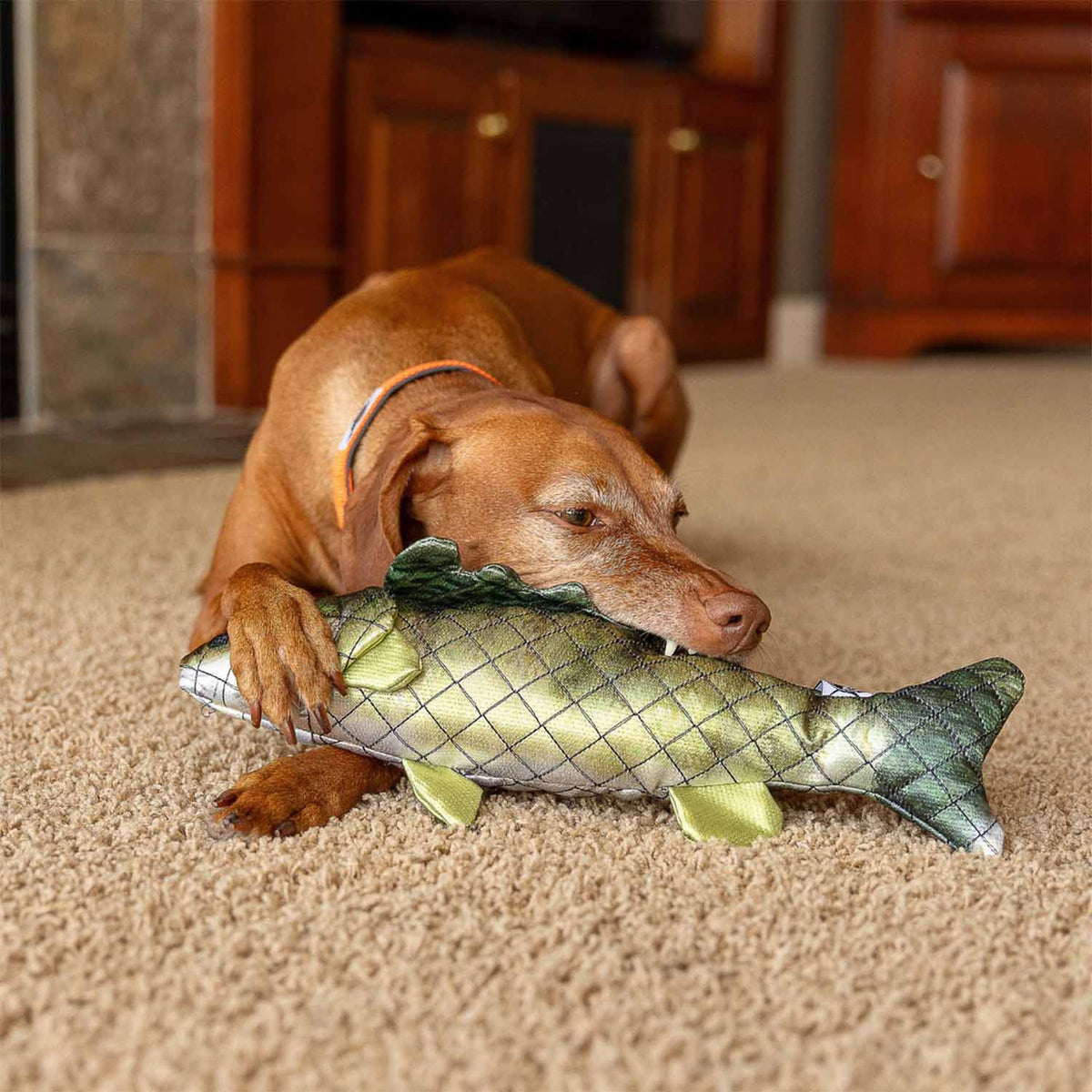 ROCT Walleye Dog Toy with dog image