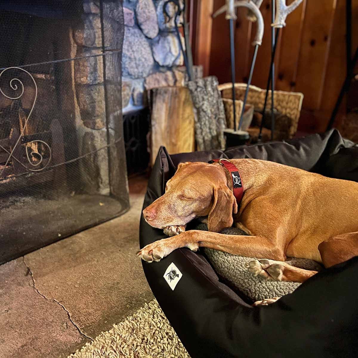 ROCT St. Croix Dog Bed Lifestyle Image