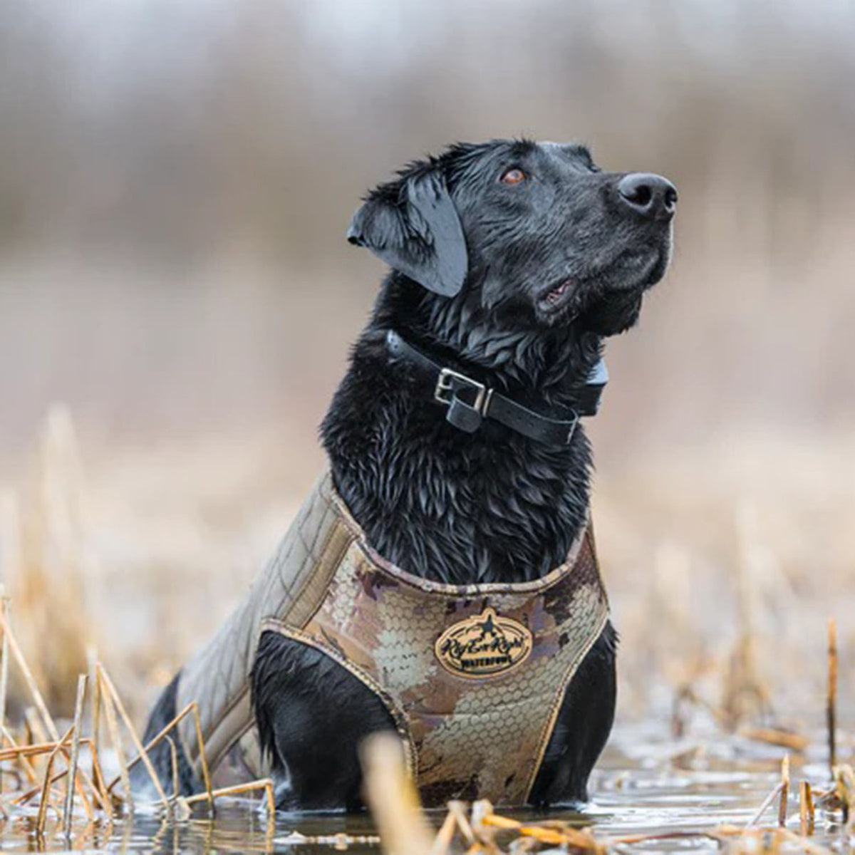 Rig'Em Right Bloodline Elite Dog Vest, Optifade Timber Field Image