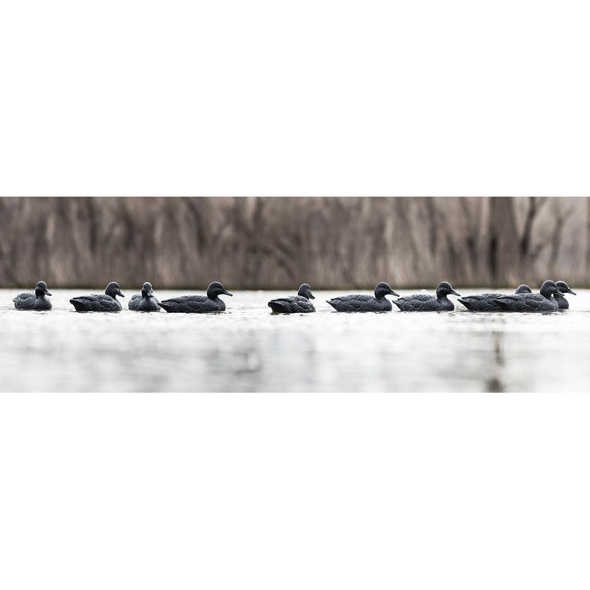 Rig'Em Right Blackouts Duck Decoys, 6 Pack Field Image