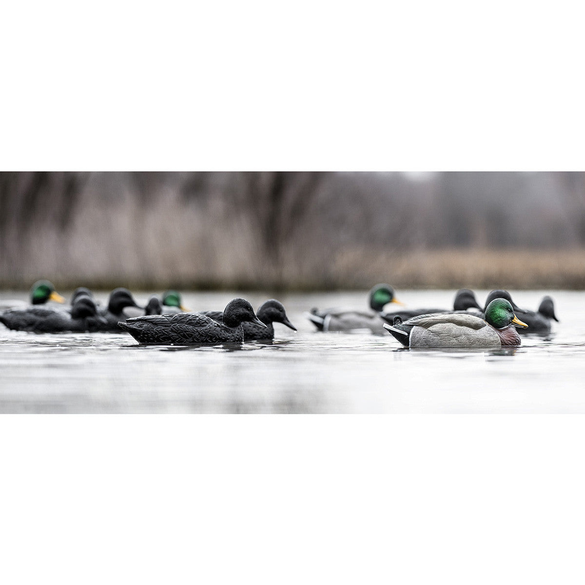 Rig'Em Right Blackouts Duck Decoys, 6 Pack Field Image