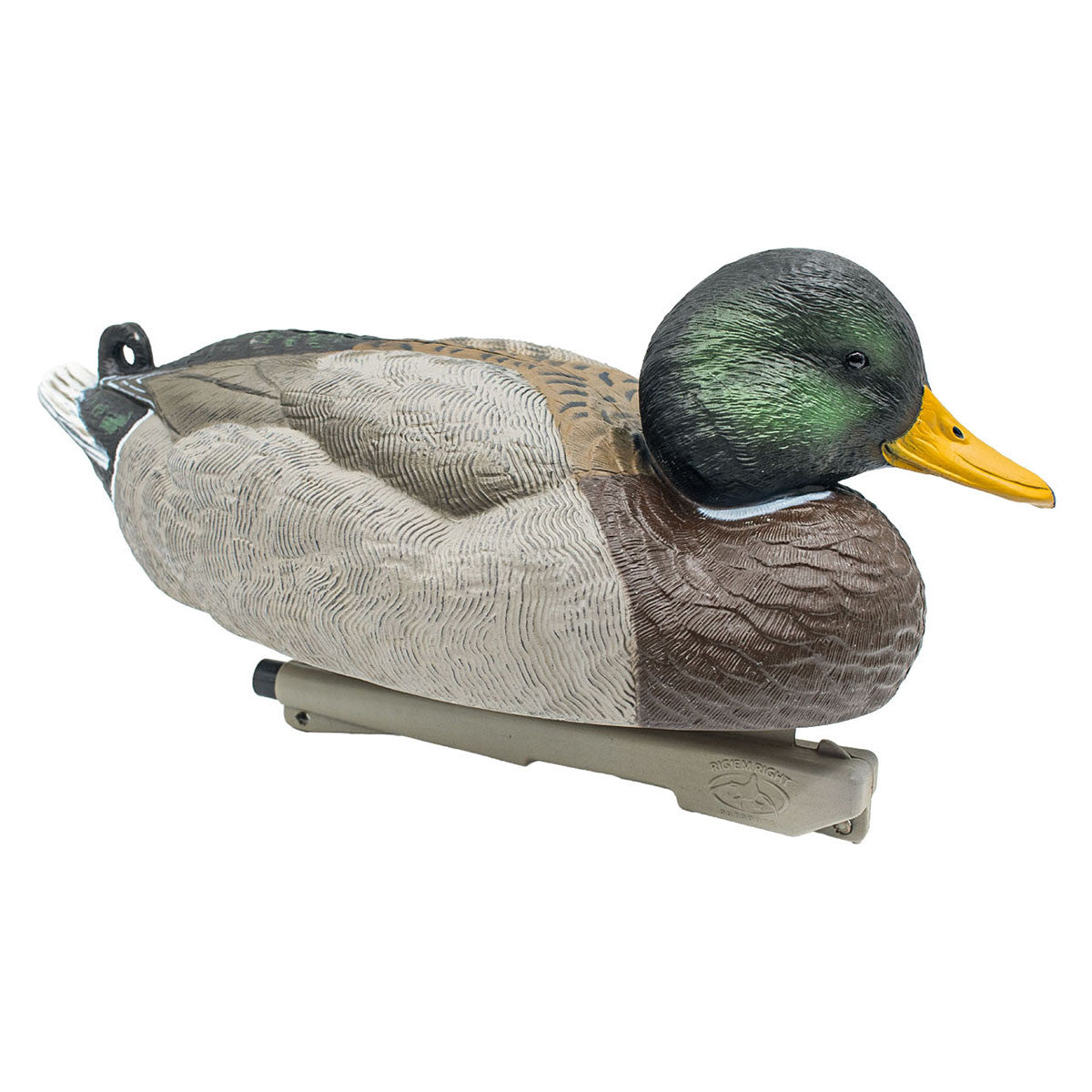 Rig'Em Right Mainline Series Mallard Duck Decoys Angled Drake Image