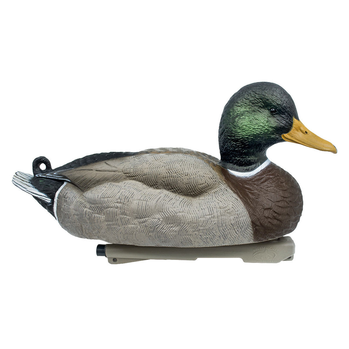 Rig'Em Right Mainline Series Mallard Duck Decoys Drake Image