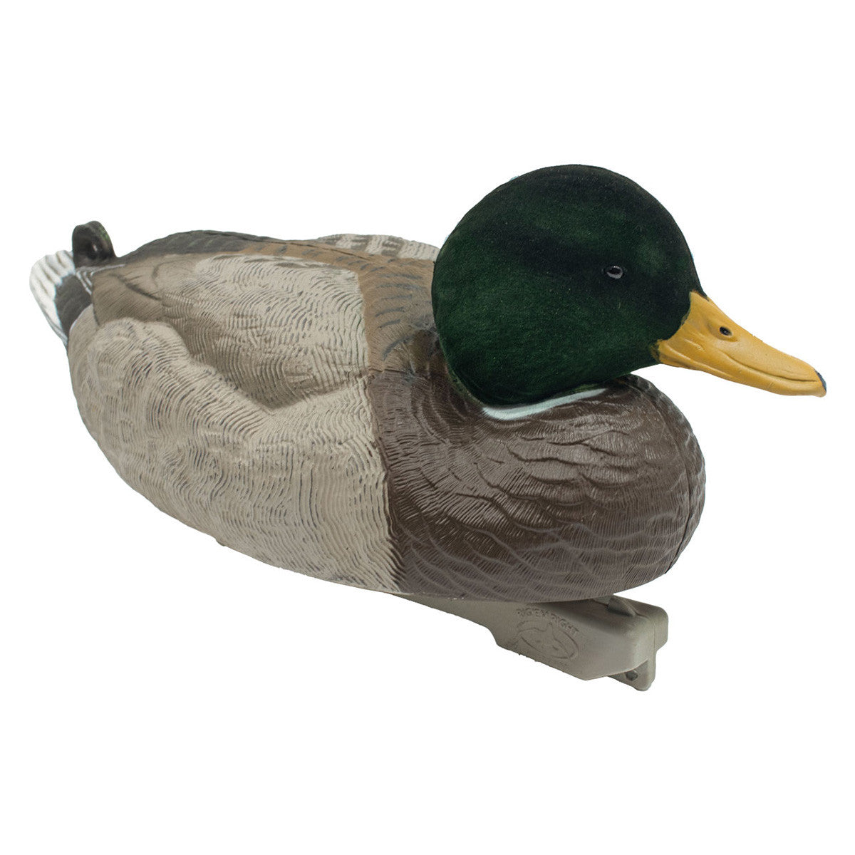 Mallard Duck Decoys with Angled Drake Image