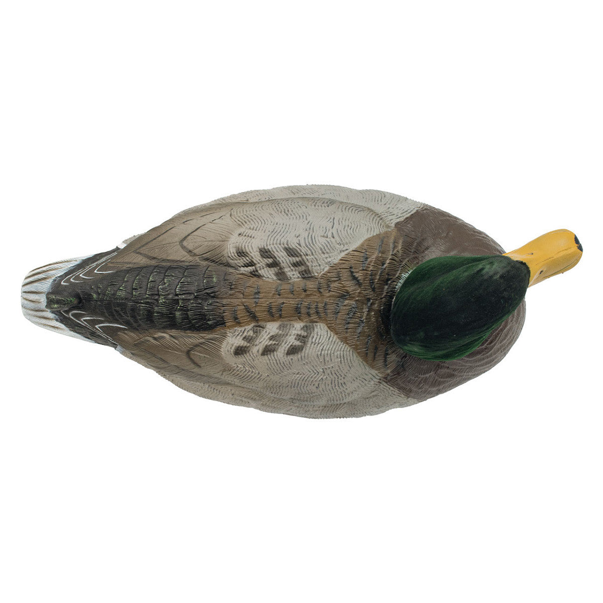 Mallard Duck Decoys with Top View of Drake Image