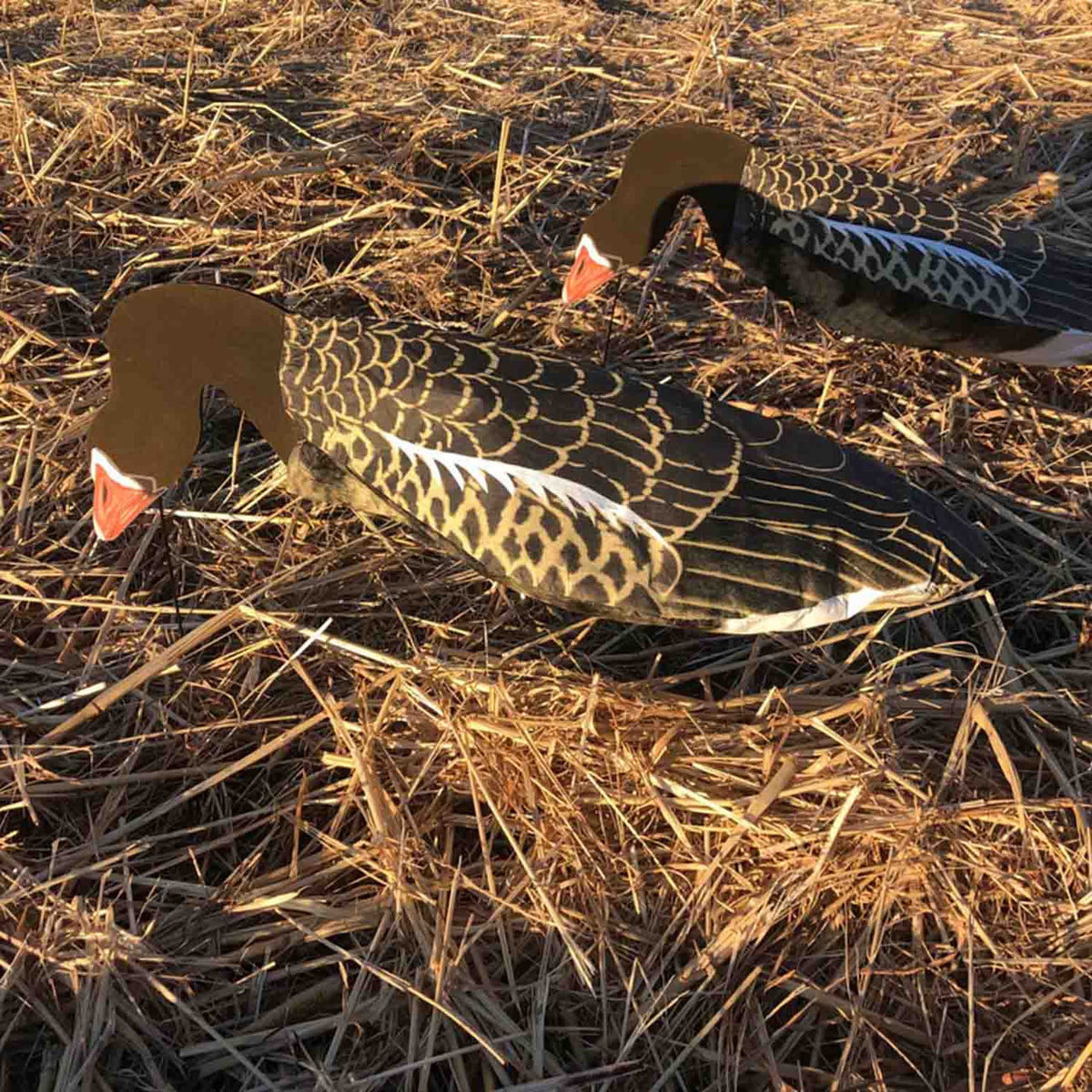 Specklebelly Goose Windsock Feeder Decoys Image