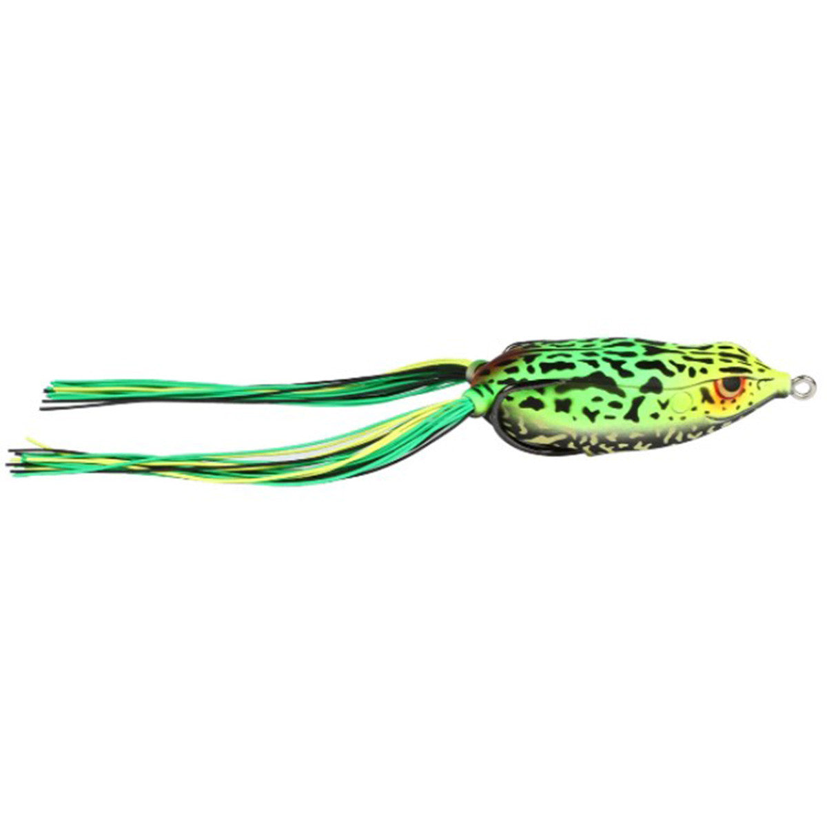 Bronzeye Frog 65
