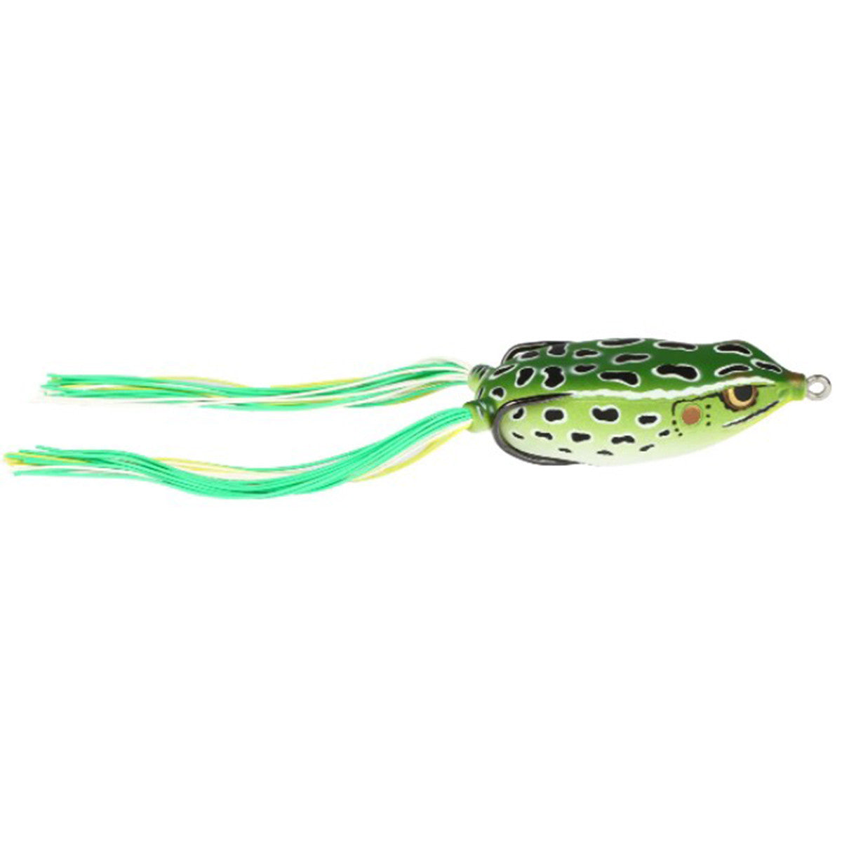 Bronzeye Frog 65