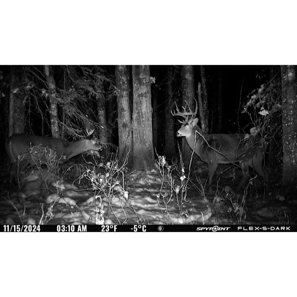 Spypoint Flex-S Dark Game Camera Field Image