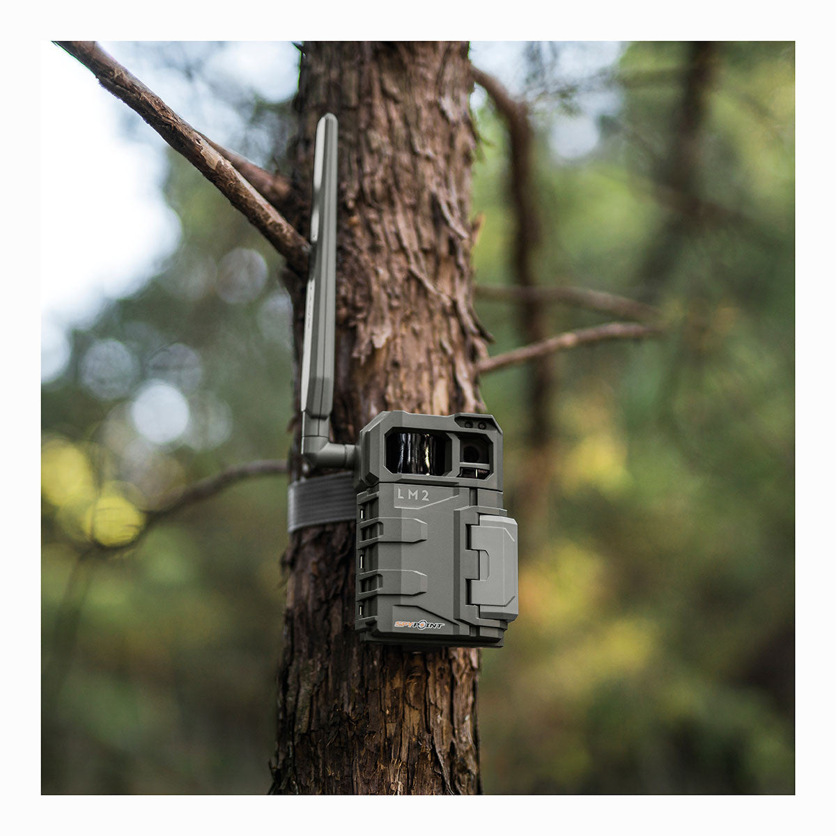 LM-2 Cellular Game/Trail Camera 2 Pack