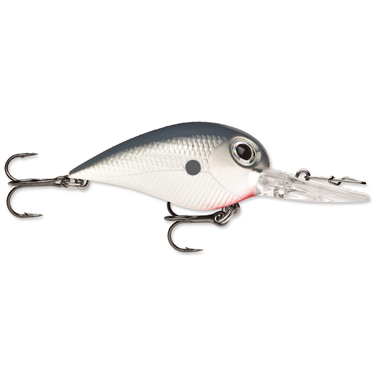Storm Wiggle Wart MadFlash Image in Gizzard Shad