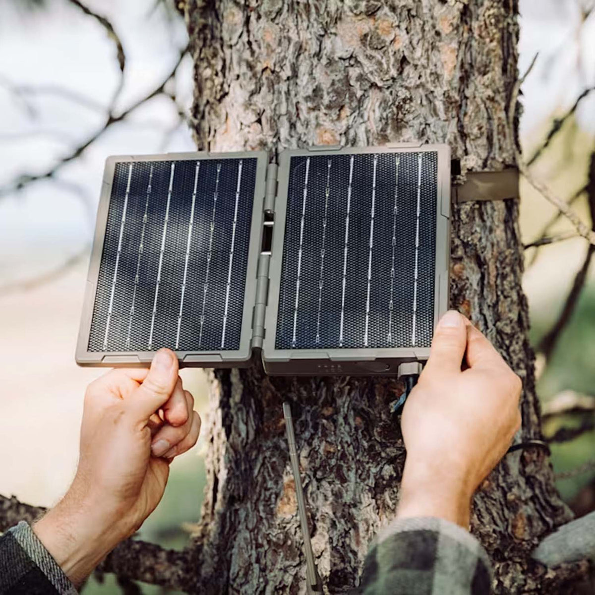 Tactacam 12V Folding External Solar Panel Mounted On A Tree Image