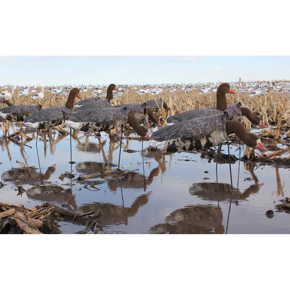 Headed Specklebelly Goose Decoys - 12 Pack