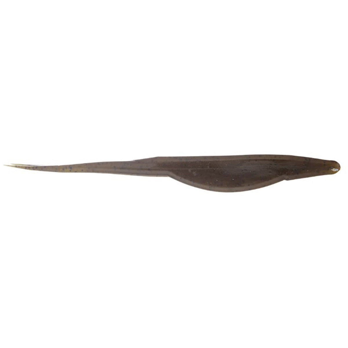 Bait Fish