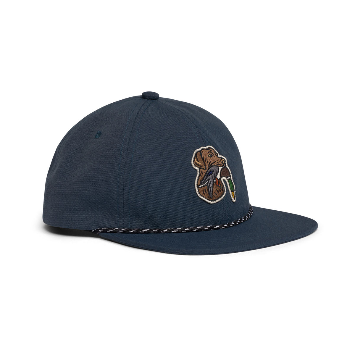 Species Unstructured Snapback