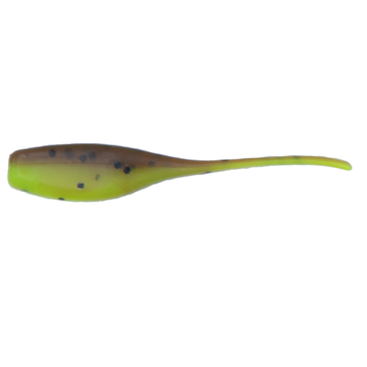 2" Sly Shad Fishing Bait, 24 Pack