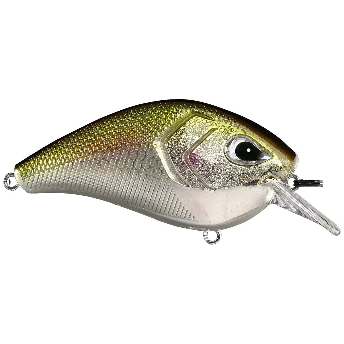 Flatty Daddy - Flat Sided Crankbait