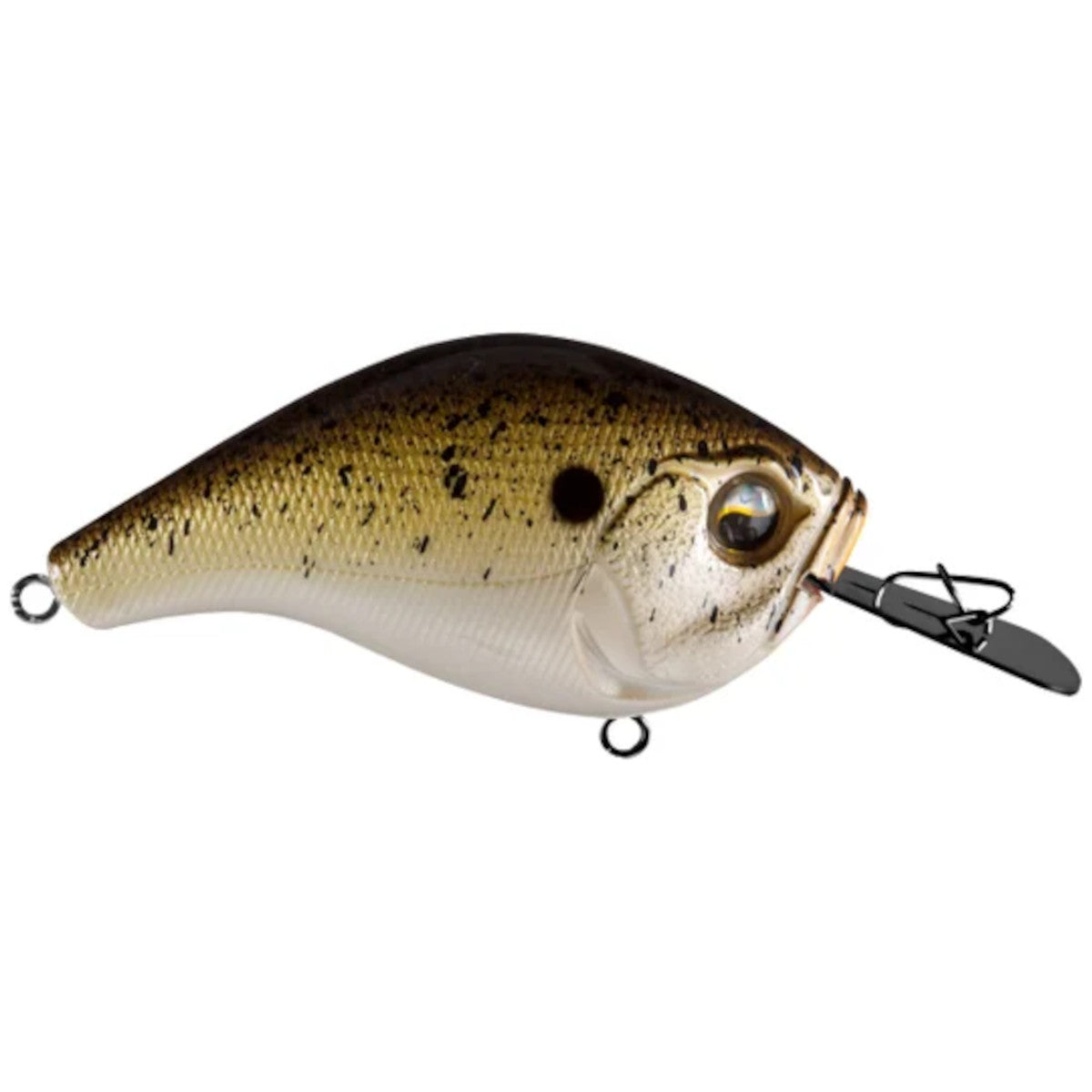 Image of the 13 Fishing Jabber Jaw Hybrid Squarebill Crankbait in Truffle Butter