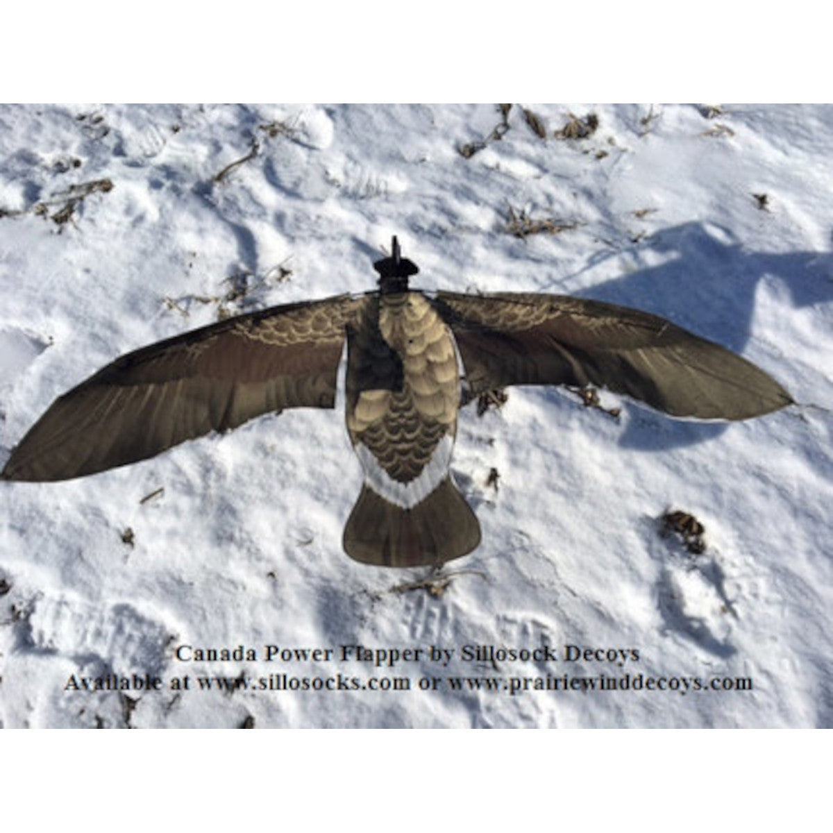 Wingbeat Canada Goose Power Flapper