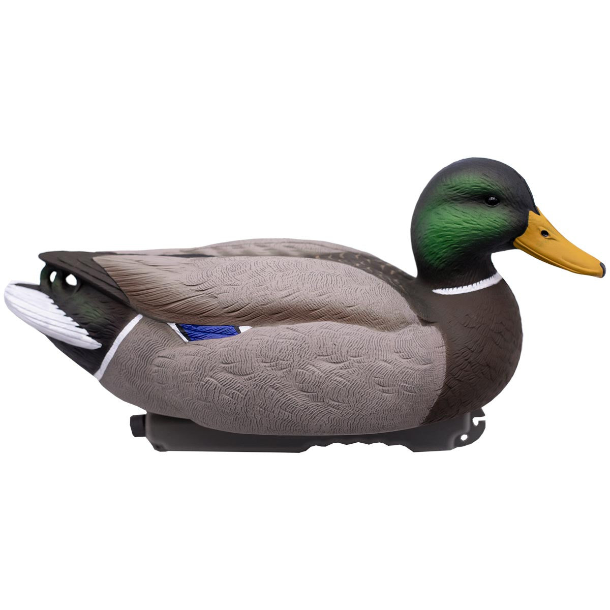LIVE Floating Mallards - 12 Pack