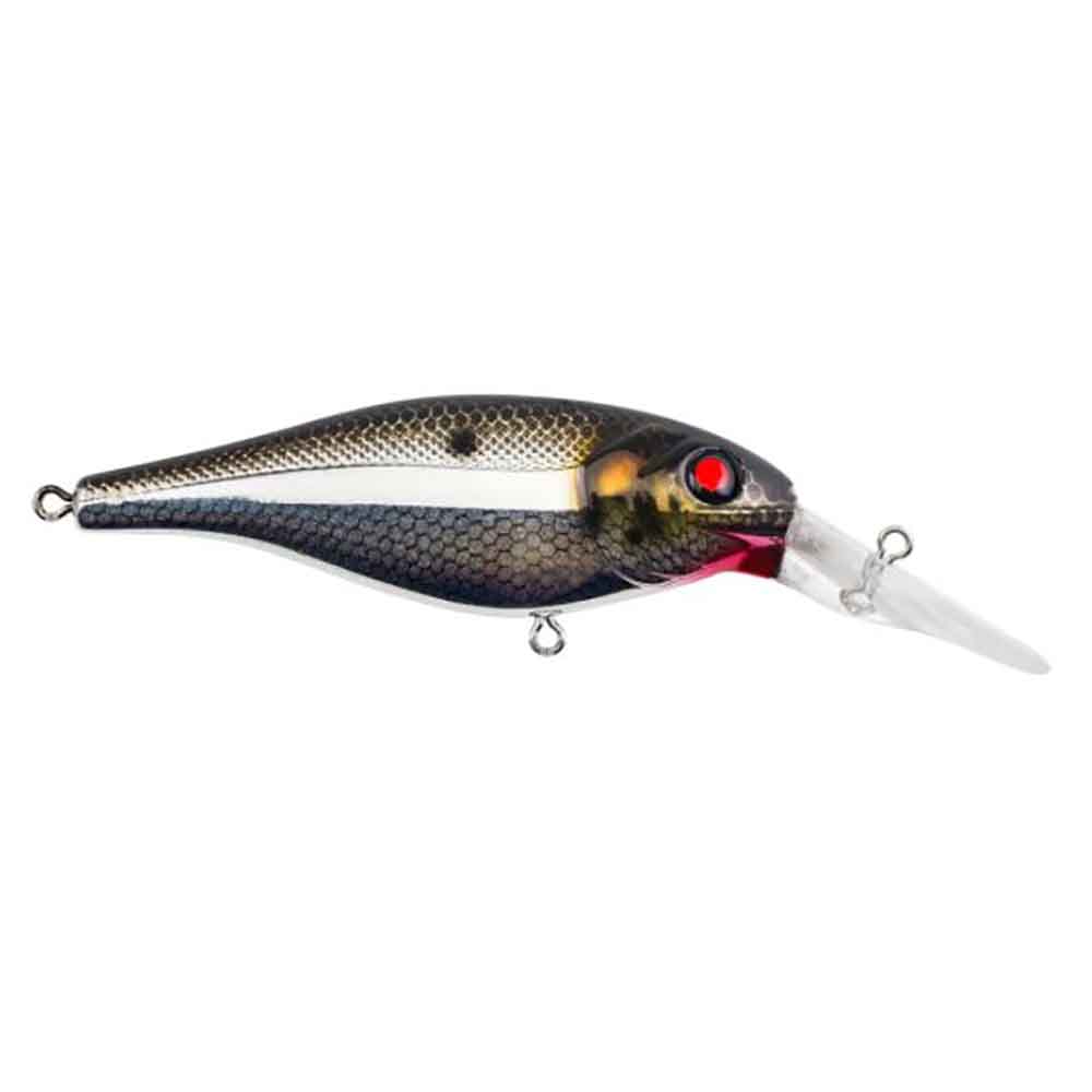 Bad Shad Crankbait