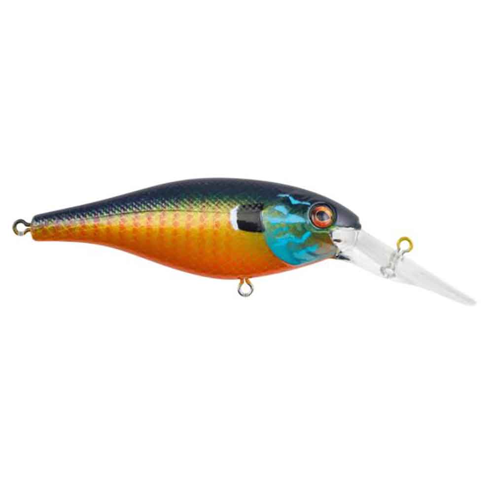 Bad Shad Crankbait