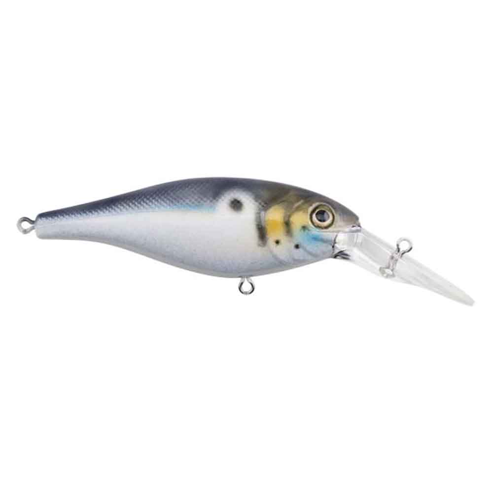 Bad Shad Crankbait