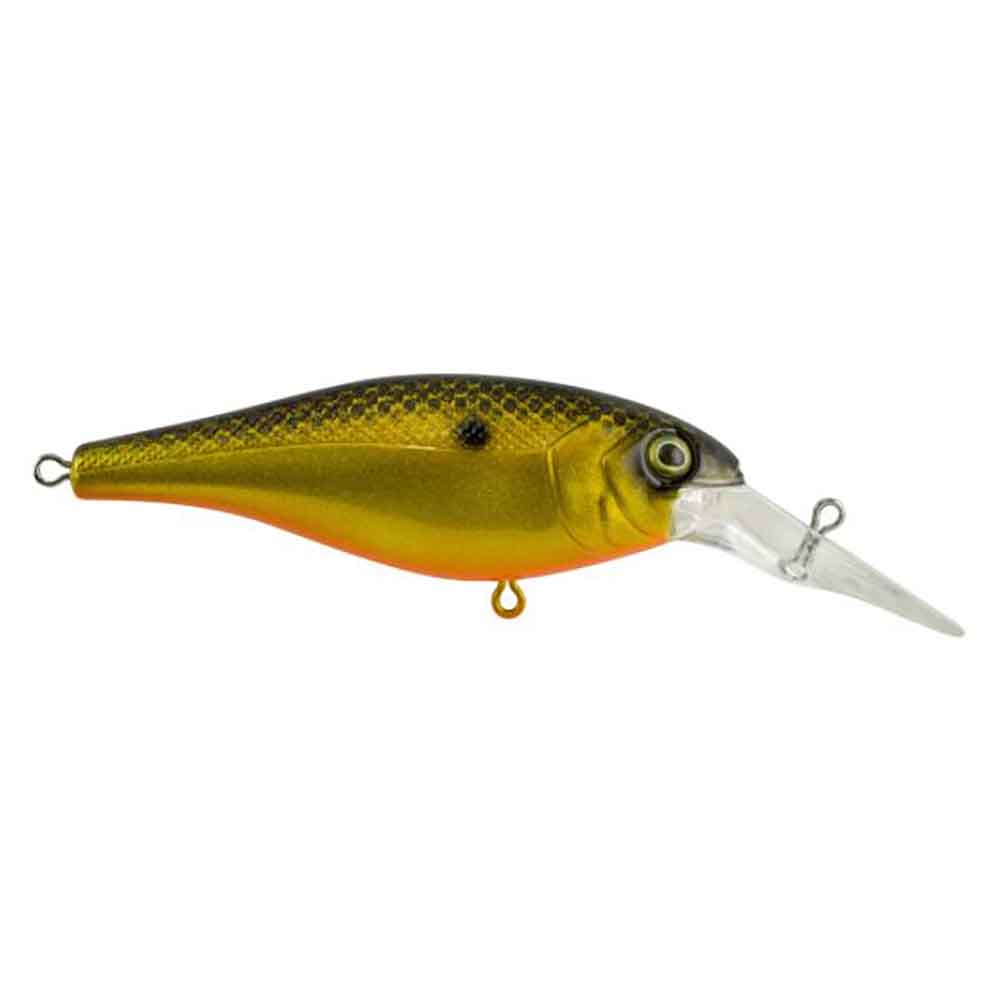 Bad Shad Crankbait