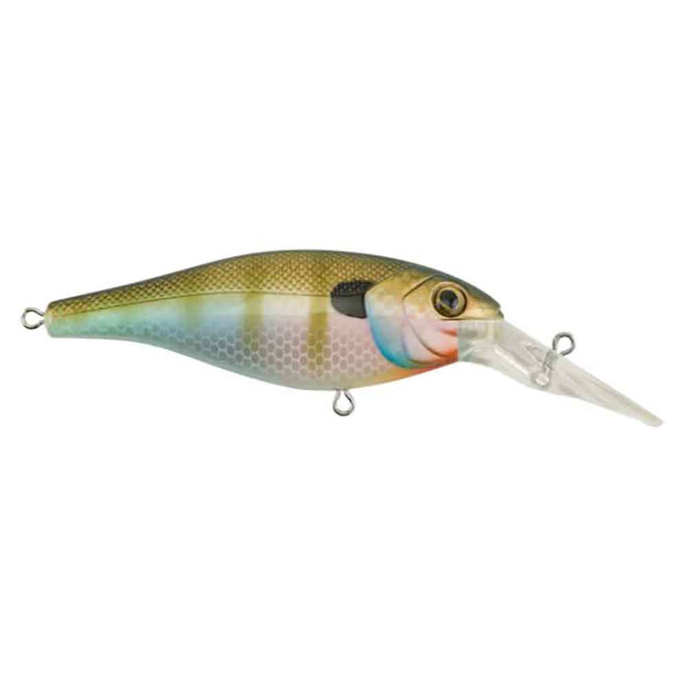 Bad Shad Crankbait