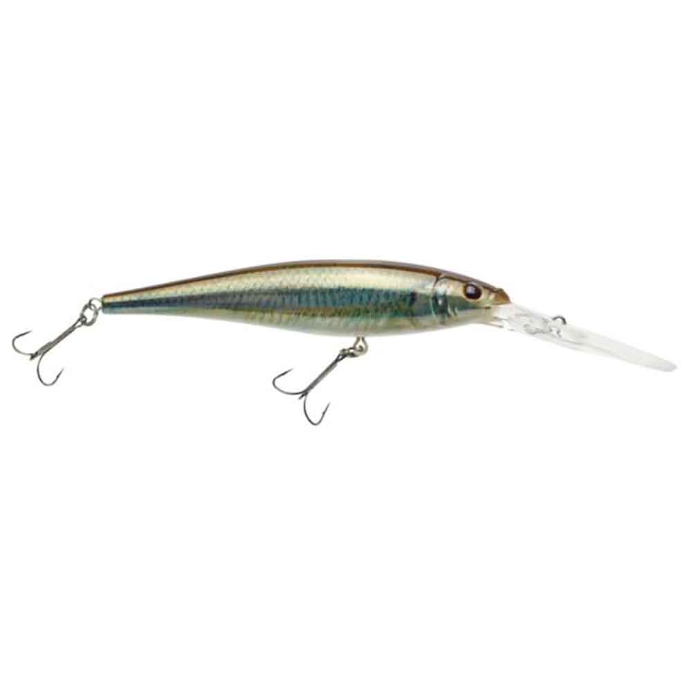 Flicker Minnow