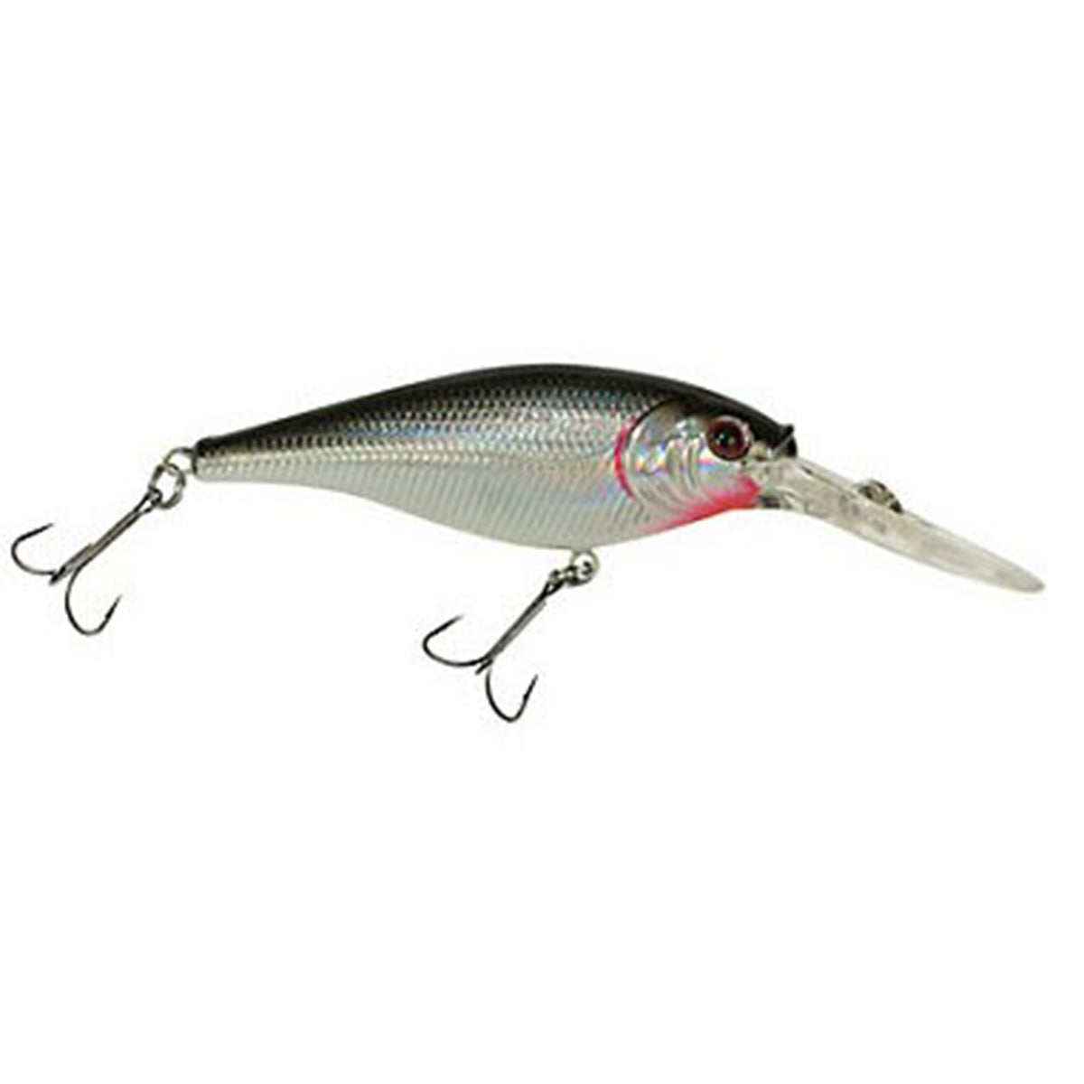 Flicker Shad
