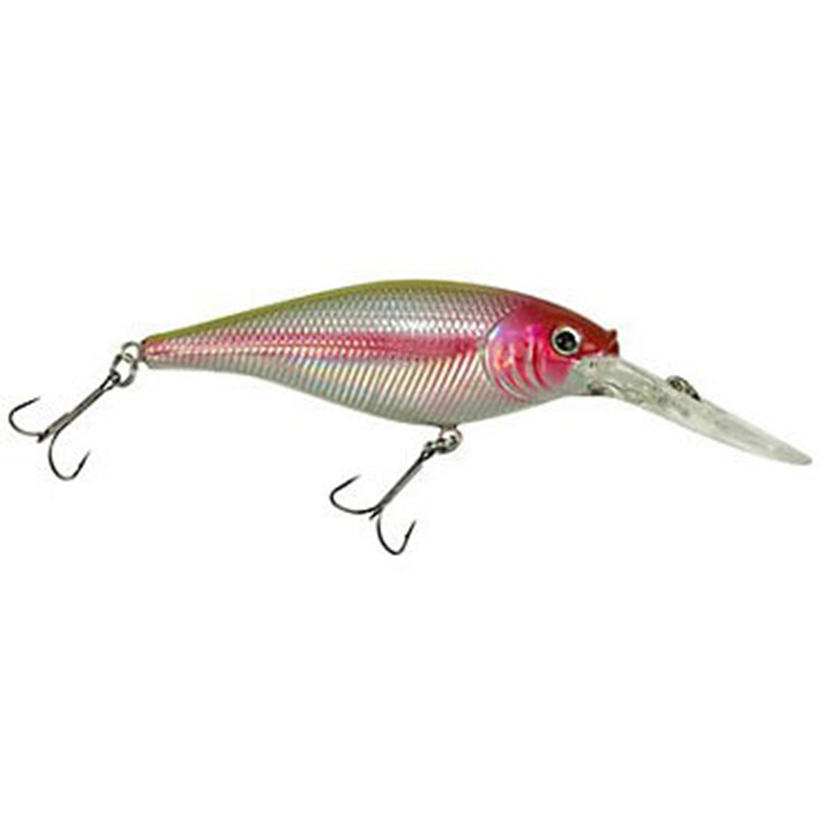 Flicker Shad