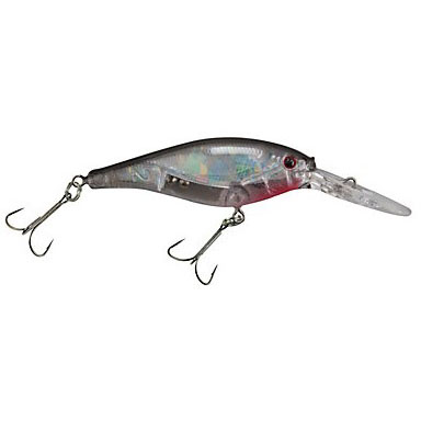 Flicker Shad