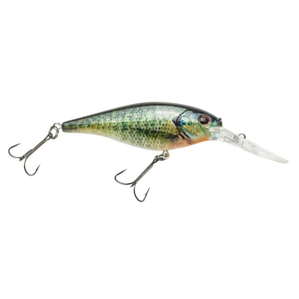 Flicker Shad