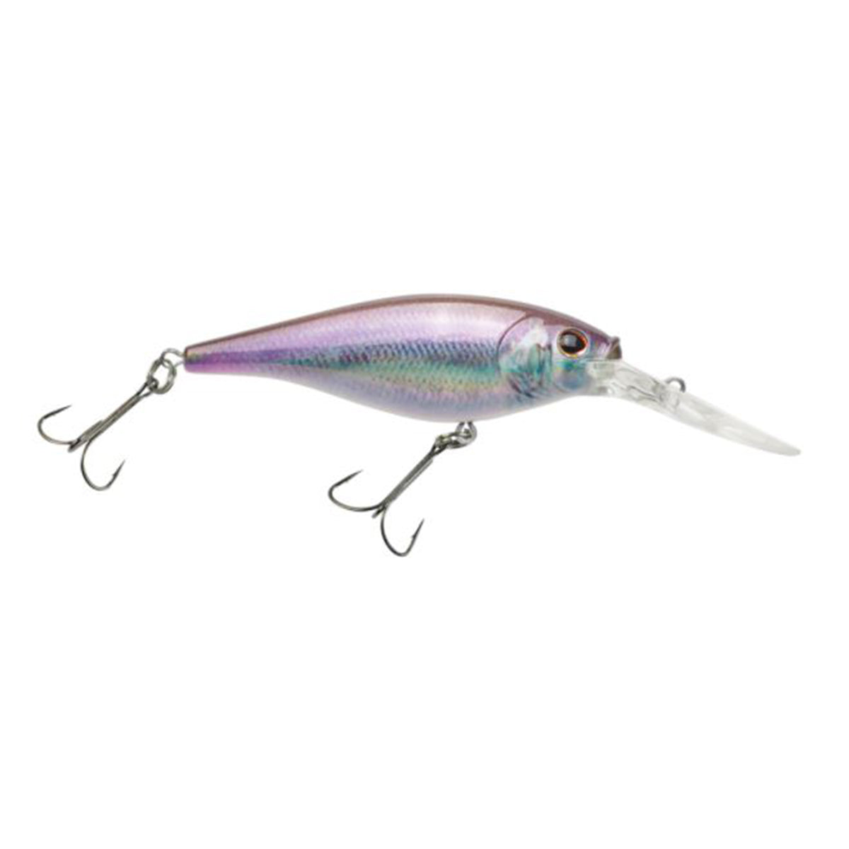 Flicker Shad