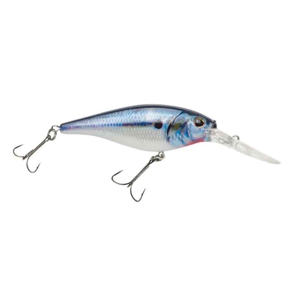 Flicker Shad
