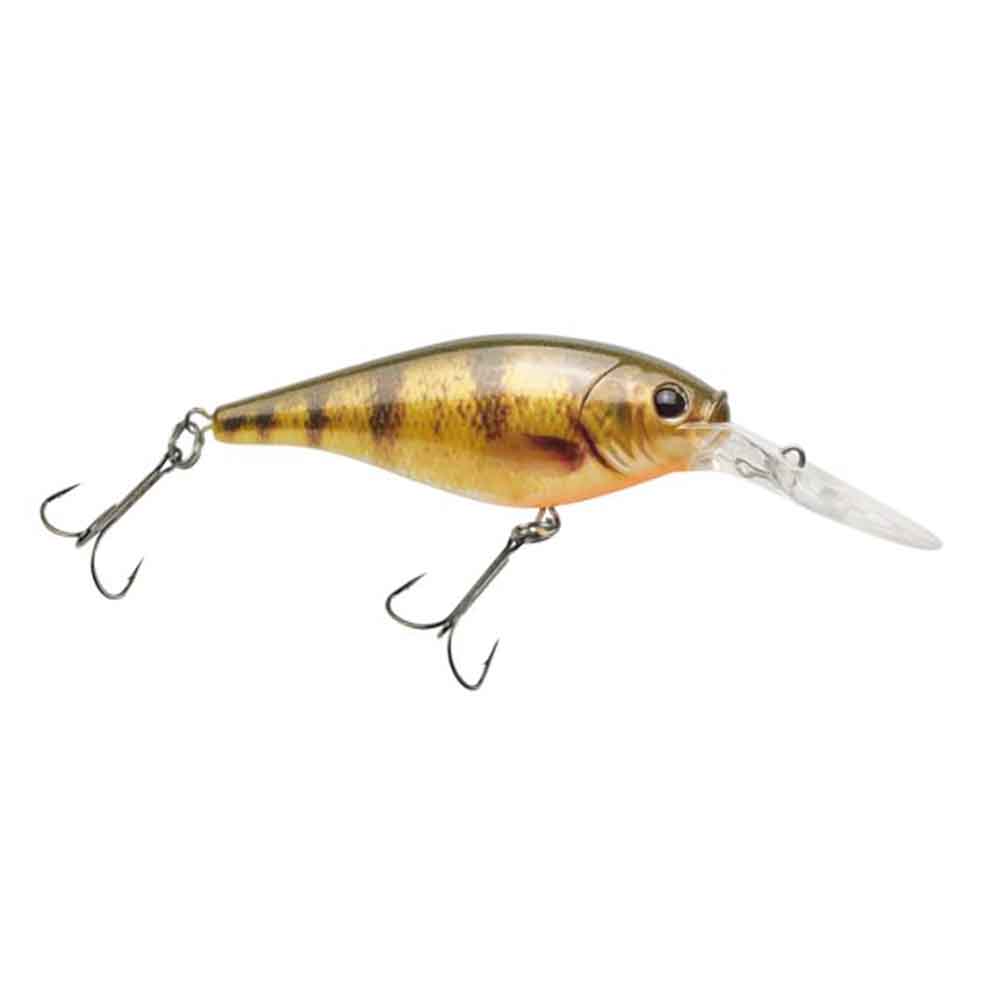 Flicker Shad