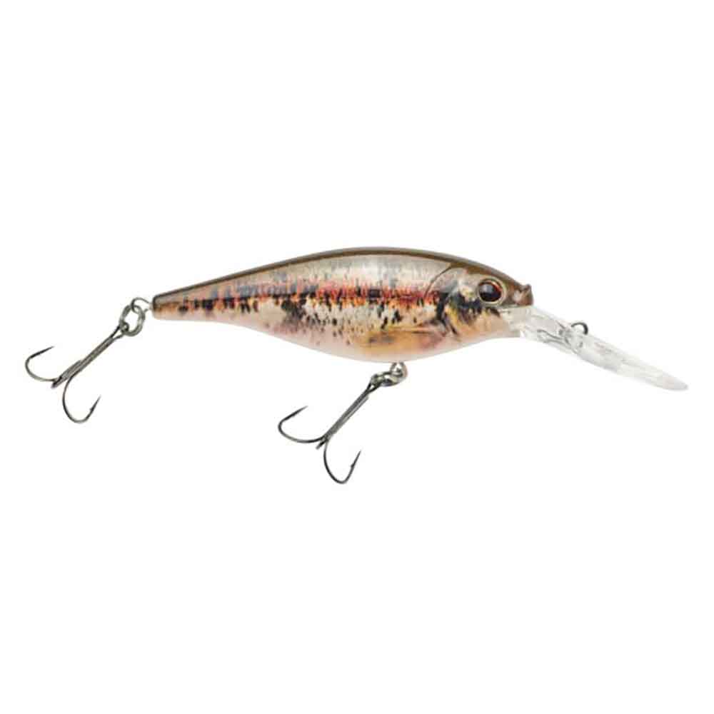 Flicker Shad