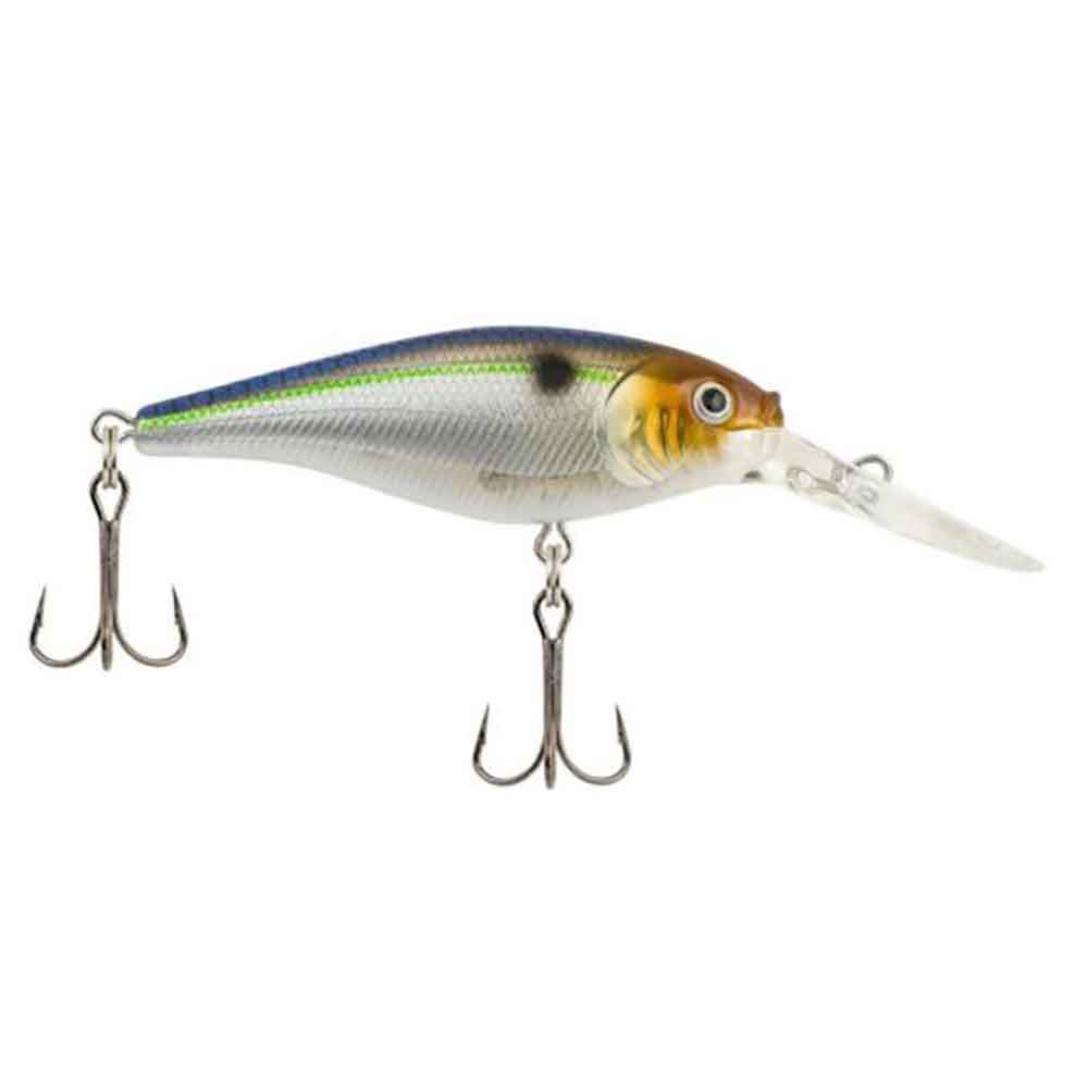 Flicker Shad