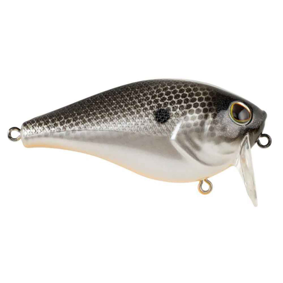 WakeBull Wakebait