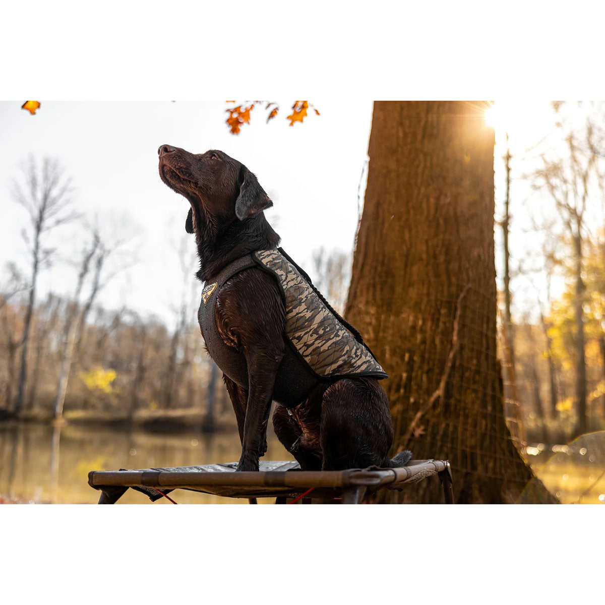 Versavest Dog Harness