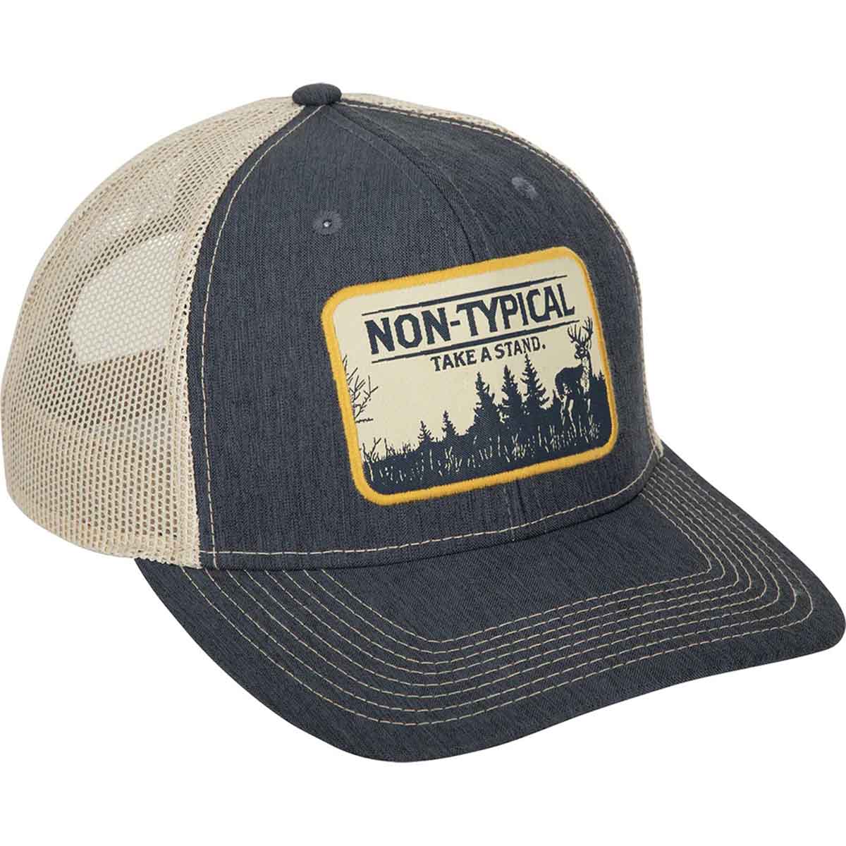 Take A Stand Scenic Patch Mesh Back Cap