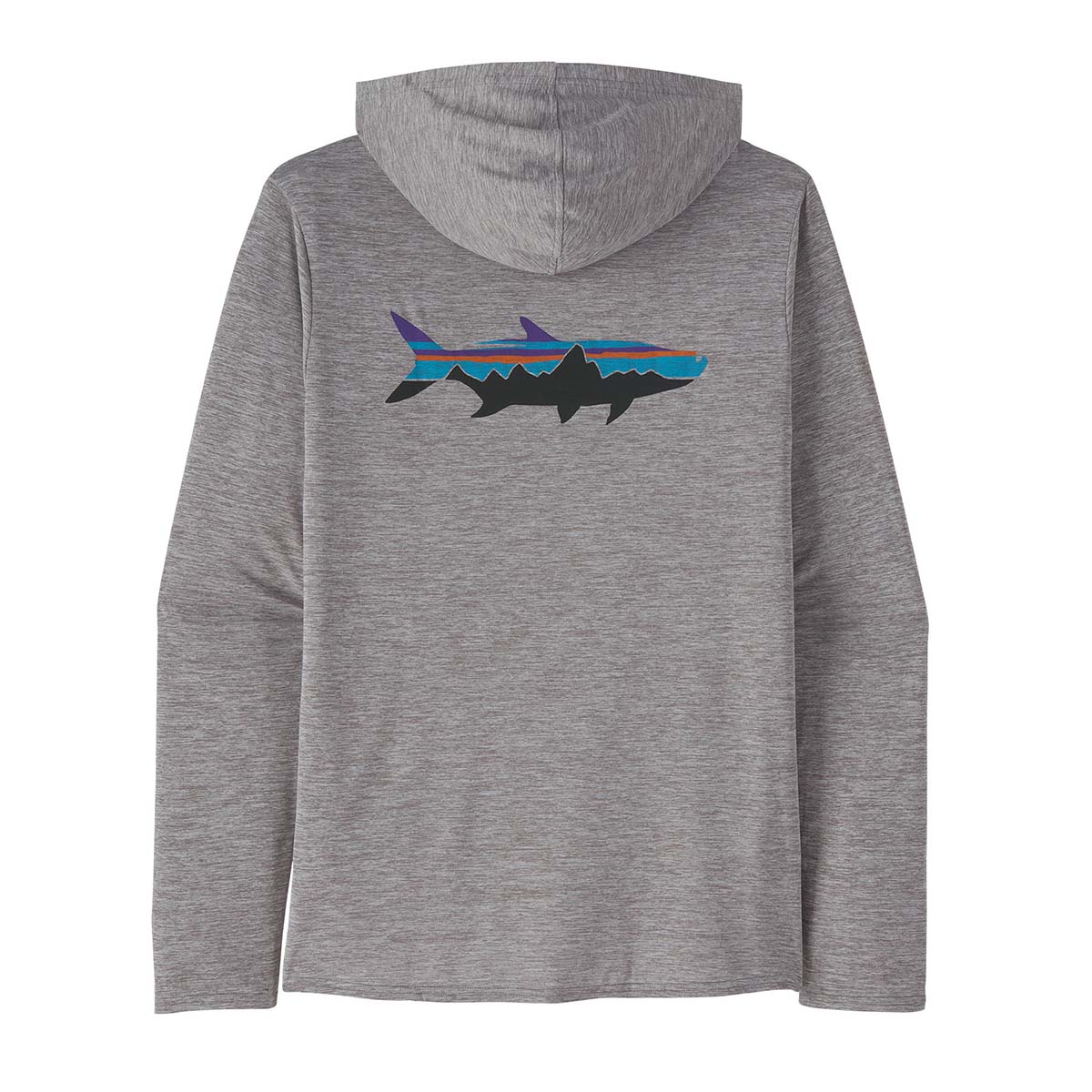 Capilene Cool Daily Graphic Hoody