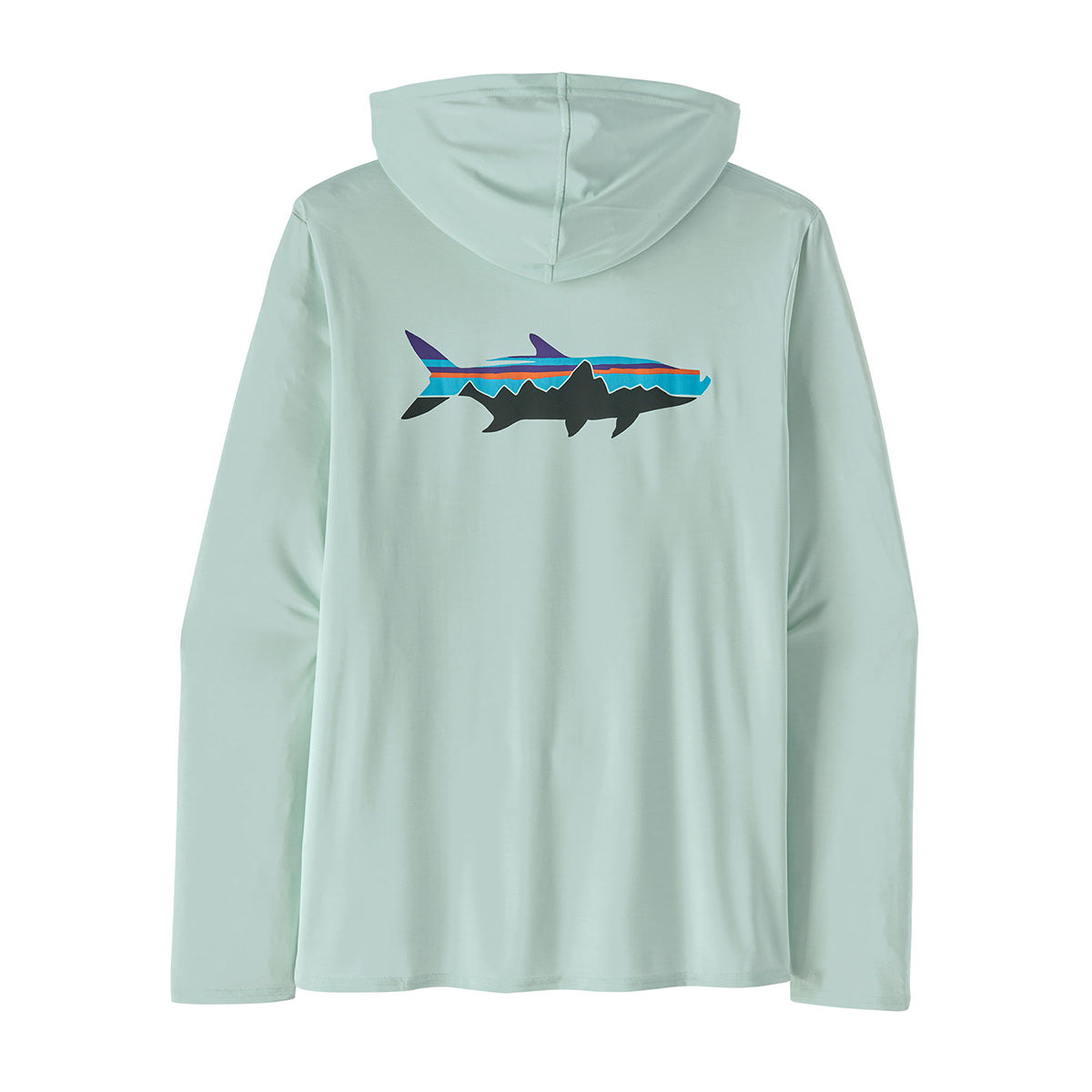 Capilene Cool Daily Graphic Hoody
