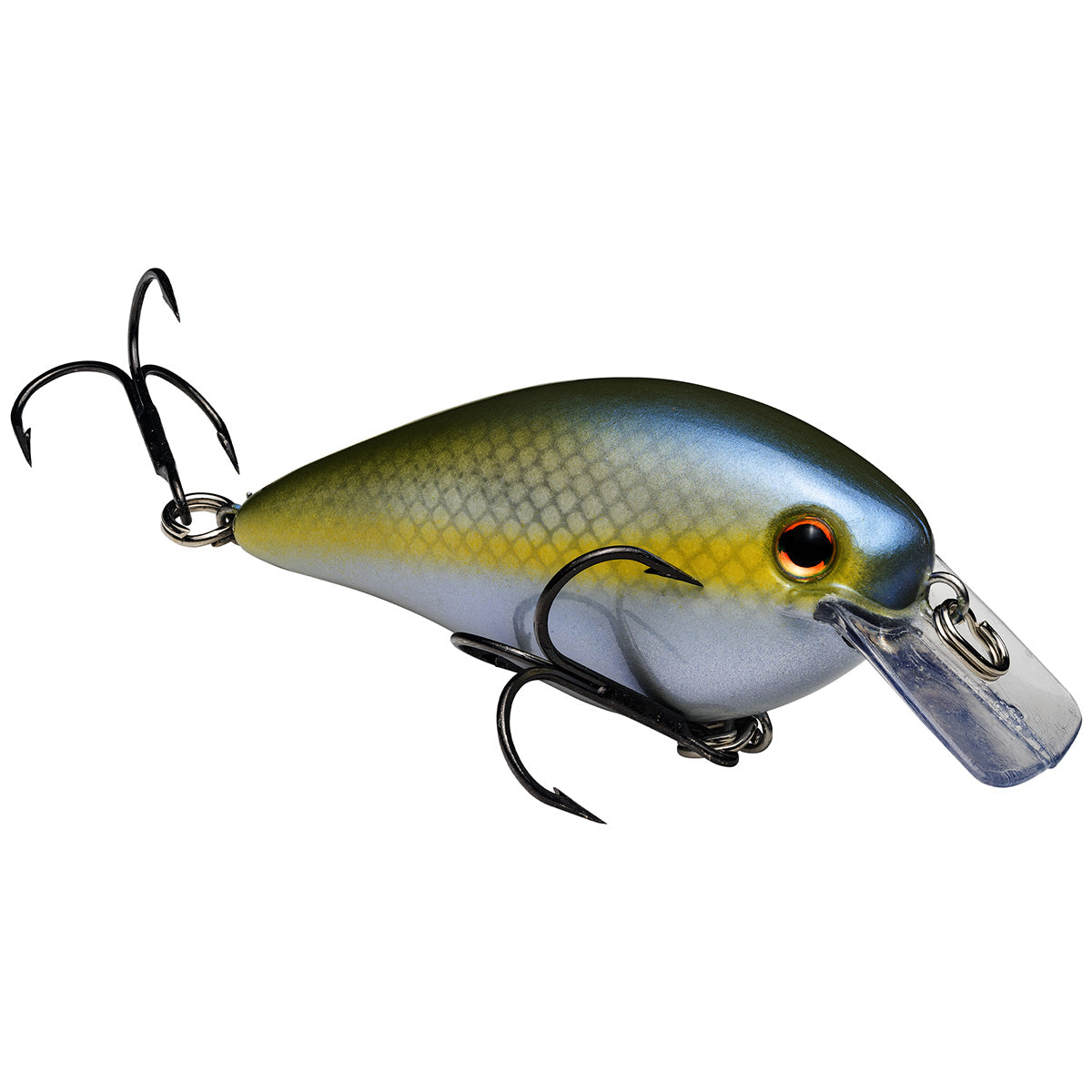 KVD Square Bill Crankbait