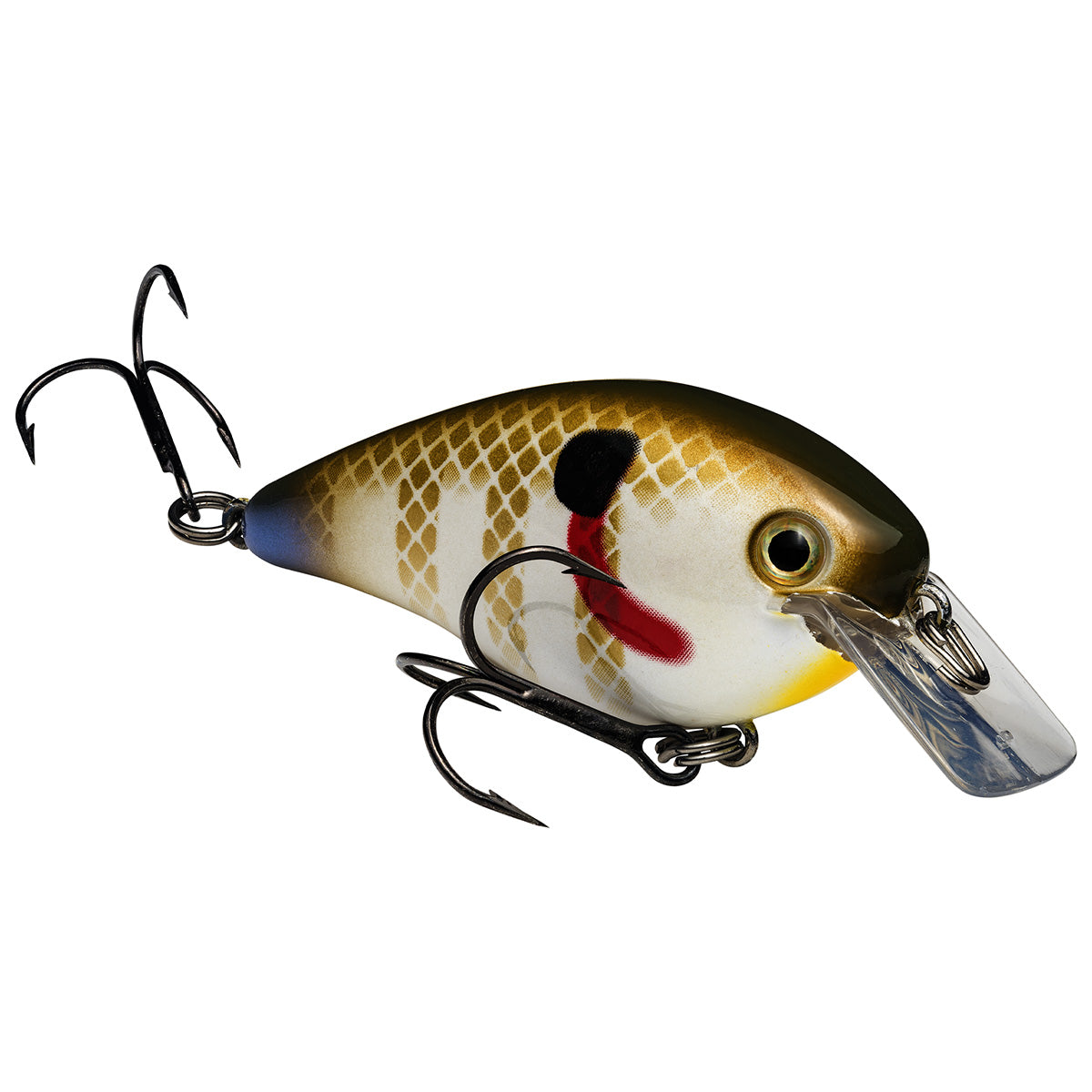 KVD Square Bill Crankbait