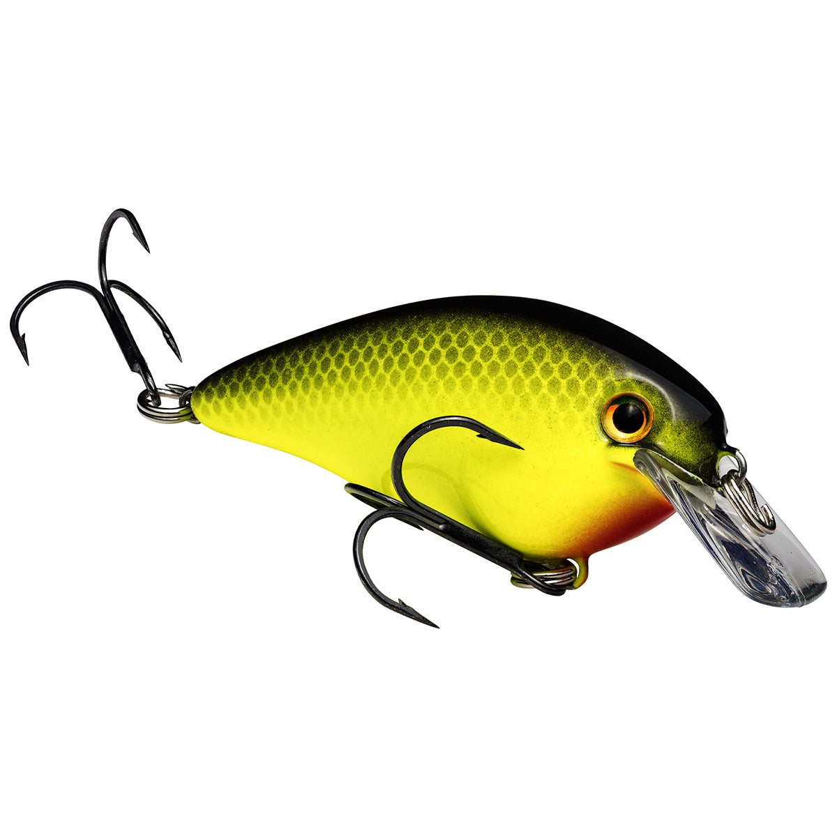 KVD Square Bill Crankbait