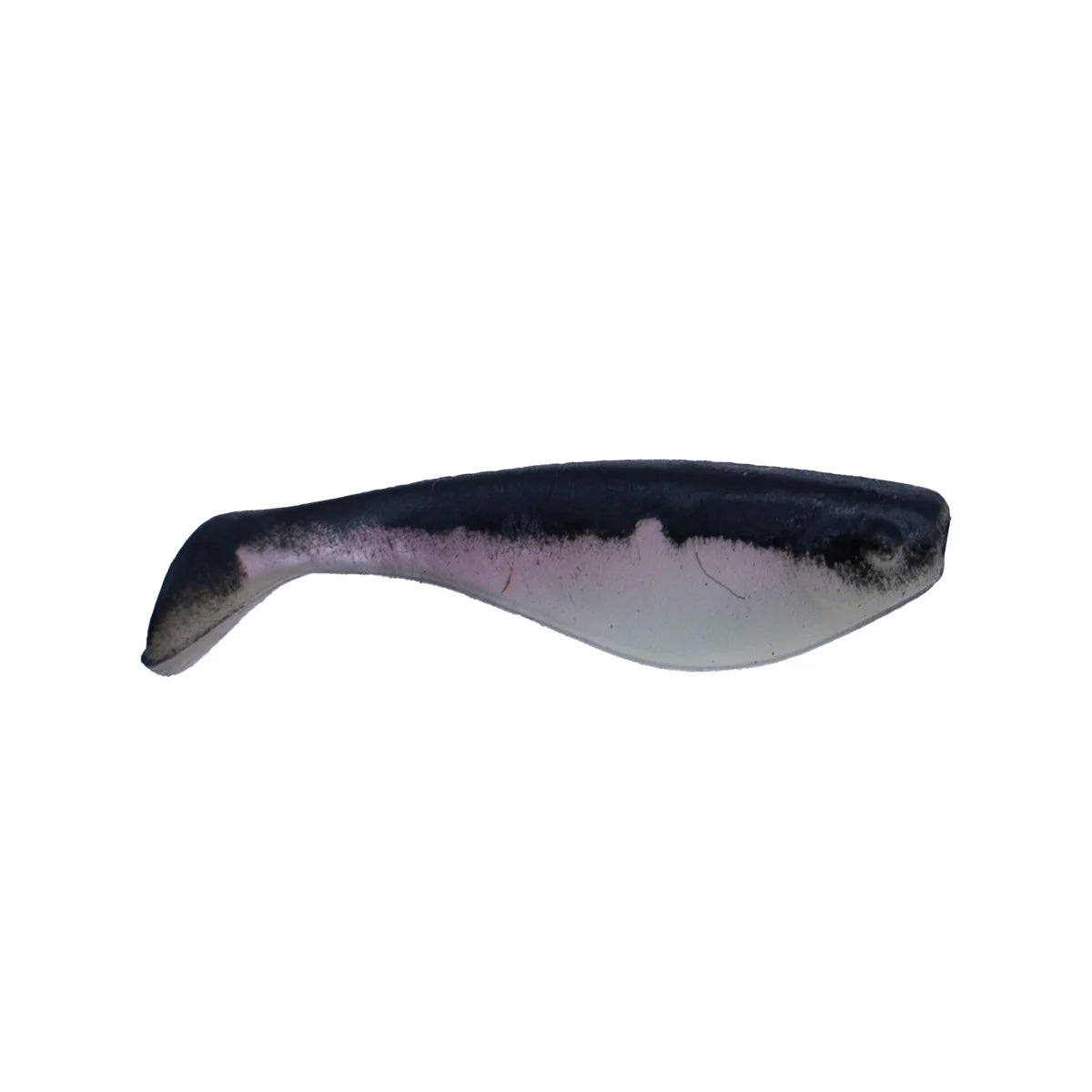 Minnow Shad