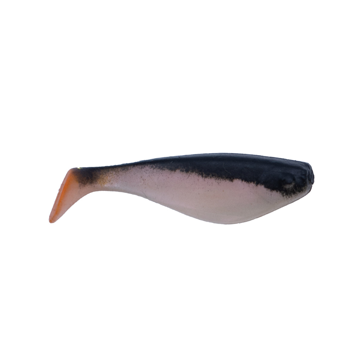 Minnow Shad